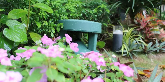 Cung cấp Loa sân vườn cho âm thanh quán cà phê trọn gói hàng chính hãng Cung cấp Loa sân vườn cho âm thanh quán cà phê trọn gói hàng chính hãng