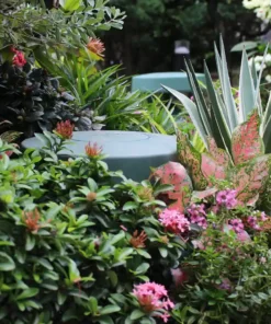 Loa sân vườn cho âm thanh quán cà phê 4 loa san vuon cho am thanh quan caffe 4