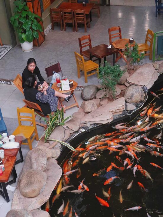 Đặc điểm của hệ thống âm thanh quán cà phê cá Koi Đặc điểm của hệ thống âm thanh quán cà phê cá Koi