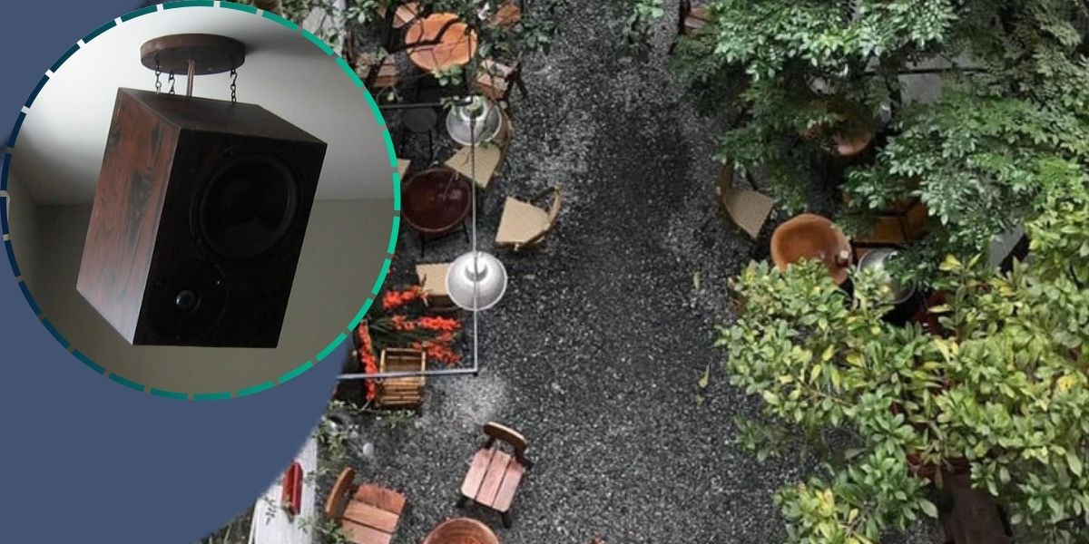  Loa hát live cho quán cà phê bị rú rít  – Triệt tiêu rú rít, hát live không hú, khách nghe không khó chịu, nâng tầm trải nghiệm live cho quán cà phê của bạn!